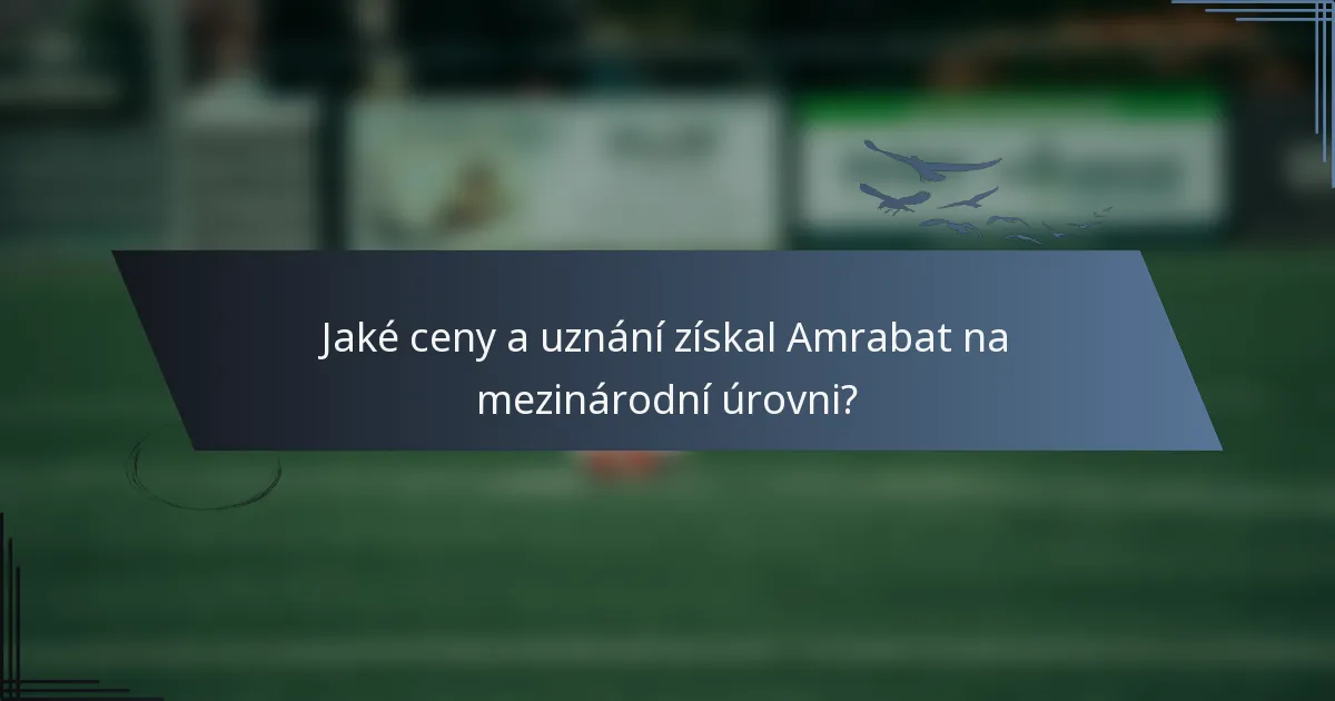 Jaké ceny a uznání získal Amrabat na mezinárodní úrovni?
